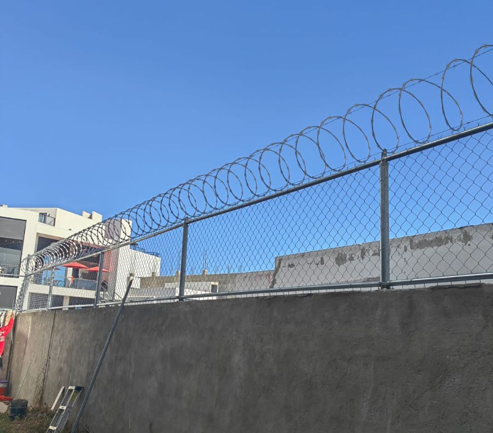 Diseño sin título (7)